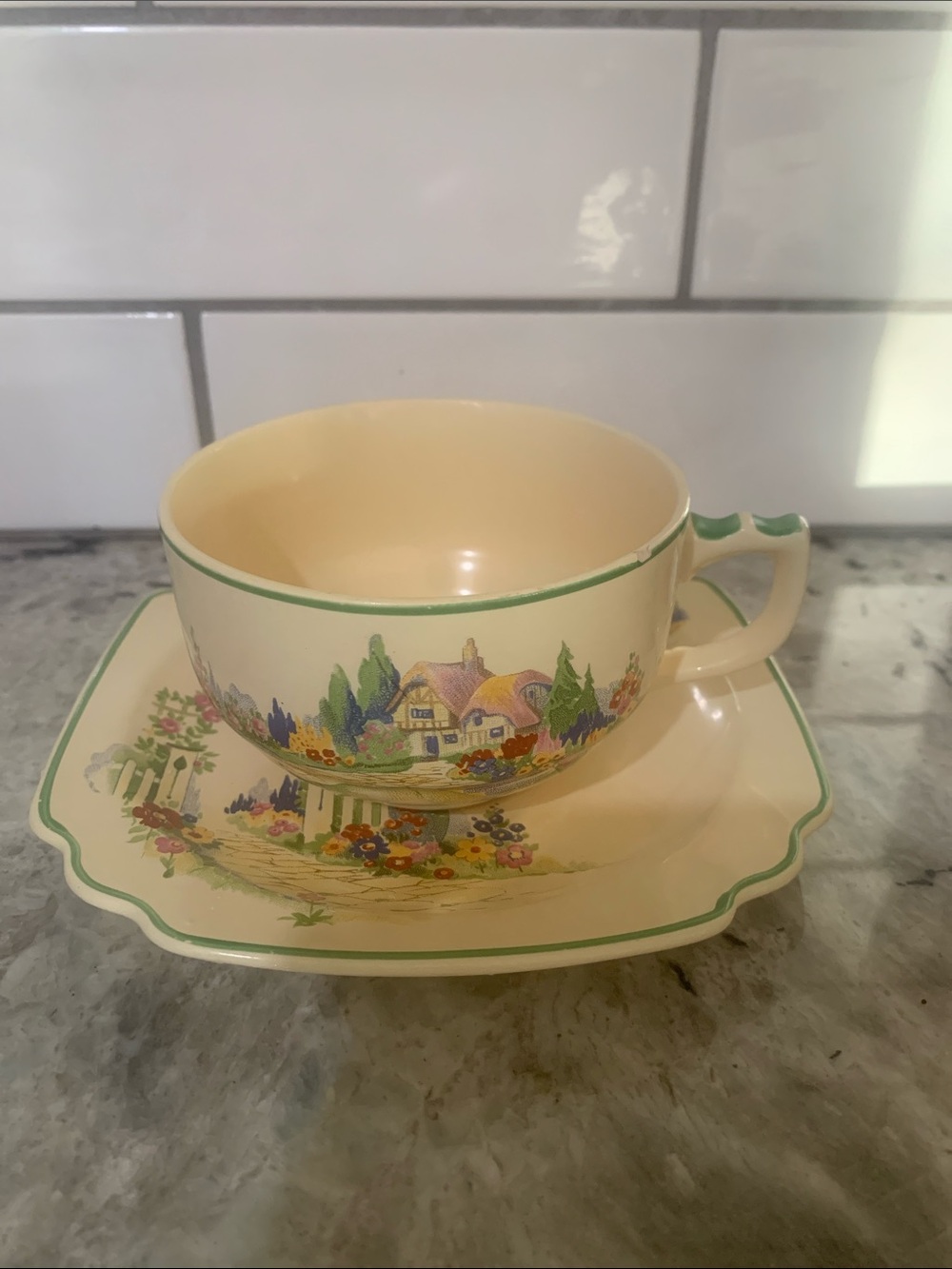 Homer Laughlin English Garden Teacup & Saucer Set 2 Pieces Total FLAW